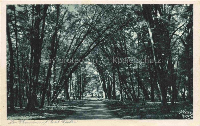 Upalten Masuren Upalty PL Serie Aus Ostpreussen Nr. 5 Der Ulmendom auf Insel Upa