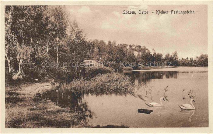 Loetzen Masuren Gizycko PL Kleiner Festungsteich Schwaene