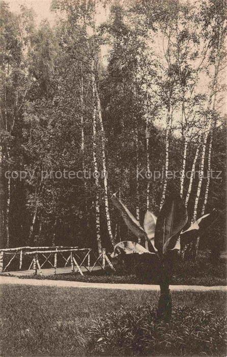 Bad Polzin Polczyn-Zdroj PL Partie an der Liebesinsel im Kurpark