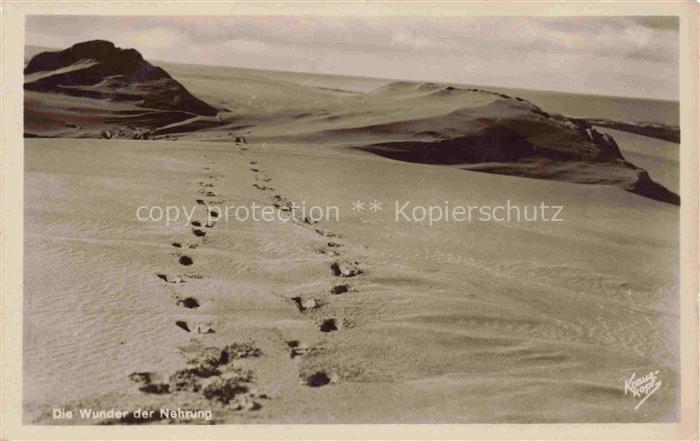 Samland Gross-Dirschkeim Donskoje Kaliningrad RU Das Wunder der Nehrung