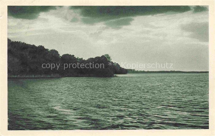 Masuren Ostpreussen PL Das Strzelzer Ufer Loewentin-See