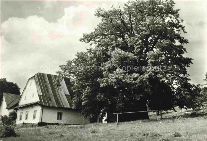 Teleci Teletz Policka CZ Lukásova lípa