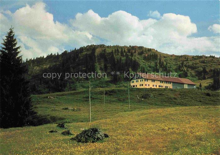 Steibis Oberstaufen Alpengasthaus und Skiheim Hoermoos-Alpe