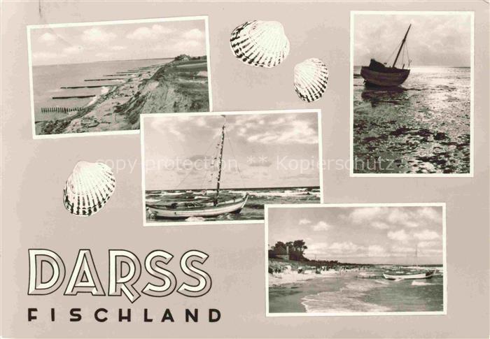 Darss Region Ostsee Kuestenpanorama Segelboot Muscheln