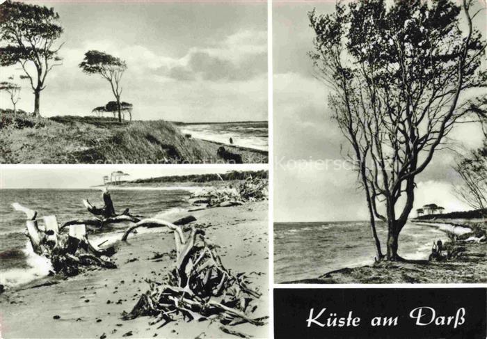 Darss Region Ostsee Kuestenpanorama Strand