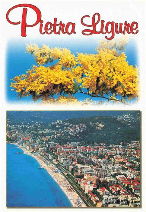 Pietra Ligure Pietraligure IT Panorama Luftaufnahme Baumbluete