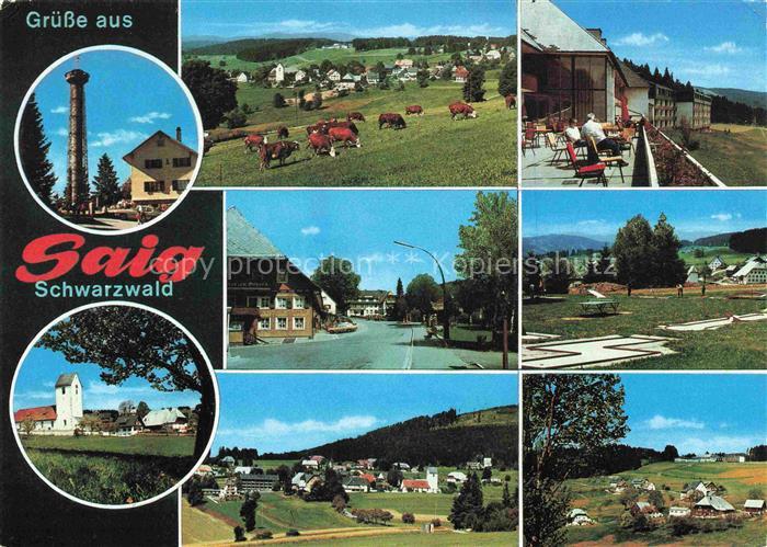 Saig Schwarzwald Teilansichten Hotel Aussichtsturm Minigolf