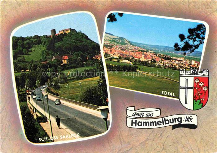 Hammelburg Total Schloss Saaleck Wappen