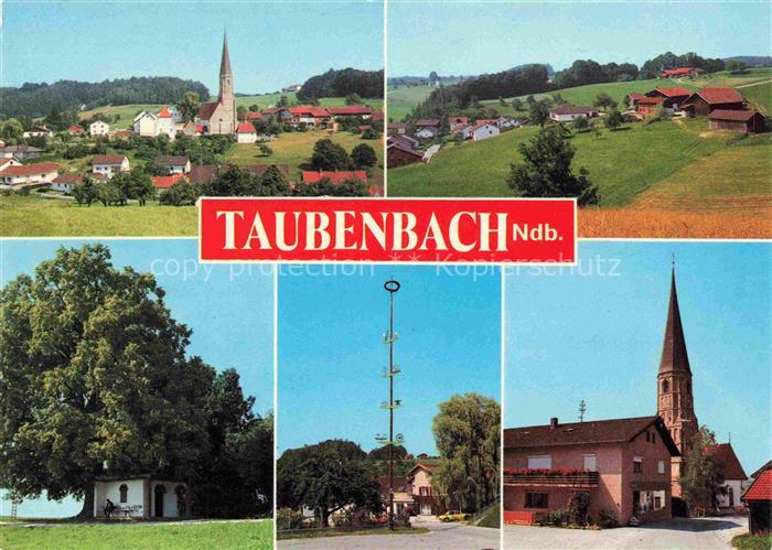 Taubenbach Niederbayern Ortsansicht mit Kirche Maibaum