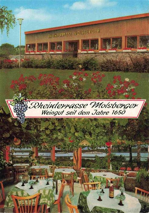 Oestrich-Winkel Molsberger's Rheinterrasse und Weinstube Weingut