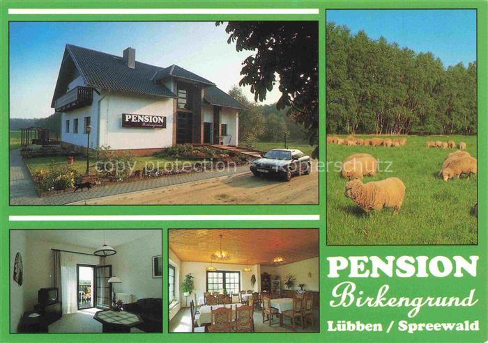 Luebben Spreewald Pension Birkengrund Gastraum Fremdenzimmer Schafherde