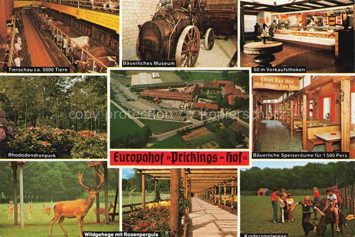 Sythen Haltern Europahof Prickings-Hof Tierschau Museum Verkaufstheke Rhododendr