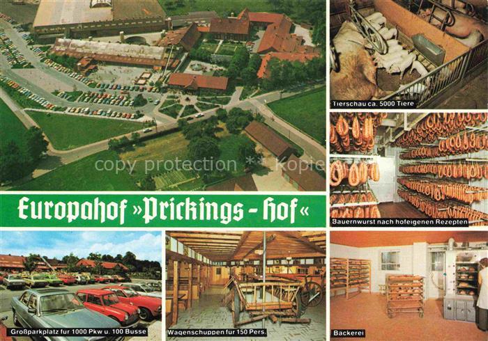 Sythen Haltern Europahof Prickings-Hof Luftaufnahme Tierschau Bauernwurst Baecke