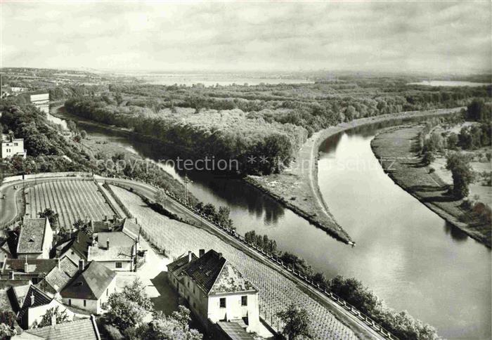 Melnik  CZ Zusammenfluss der Elbe und Moldau