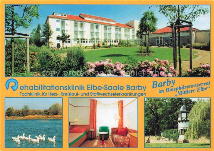 Barby Elbe Rehabilitationsklinik Elbe-Saale Patientenzimmer Schwaene