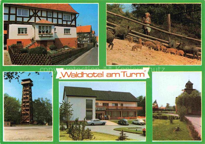 Burgholz Kirchhain Waldhotel am Turm Aussichtsturm Wildschweingehege