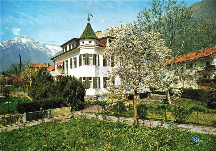 Algund Merano Suedtirol IT Pension Villa Scheiber Baumbluete