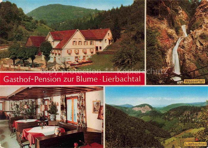 Oppenau Ortenaukreis BW Gasthof Pension zur Blume im Lierbachtal Gastraum Wasser