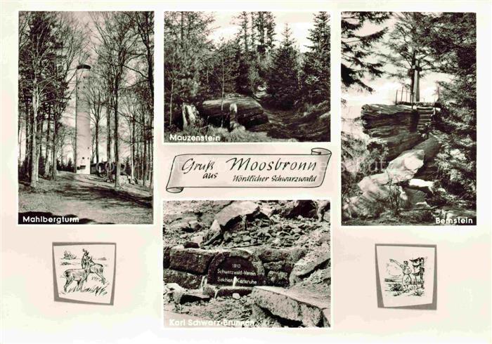 Moosbronn Gaggenau Mahlbergturm Mauzenstein Bernstein Karl-Schwarz-Brunnen Natur