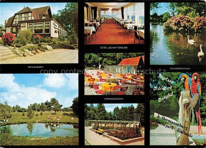Oldendorf Celle Vogelzoo Naturpark Suedheide Schwanenteich Terrassencafé