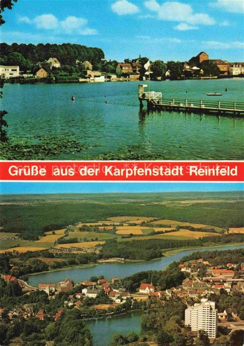 Reinfeld Holstein Panorama Karpfenstadt Luftaufnahme Partie am See