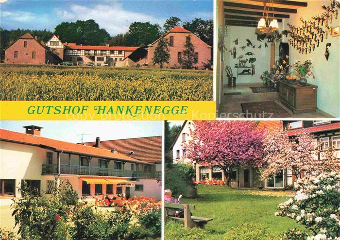 Bentorf Ferien auf dem Gutshof Hankenegge Baumbluete