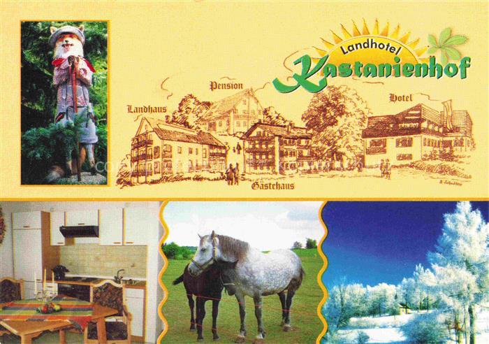 Georgenberg Oberpfalz Landhotel Kastanienhof Fremdenzimmer Pferdekoppel Winterpa