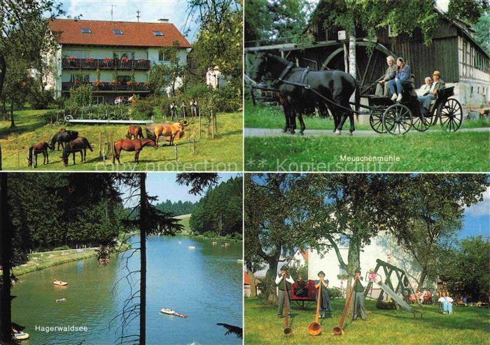 Burgholz Alfdorf Urlaub auf dem Bauernhof Pferdekoppel Meuschenmuehle Pferdekuts