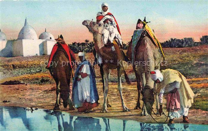 Kamele  Camel Chameau-- Marabout Maroc Marokko