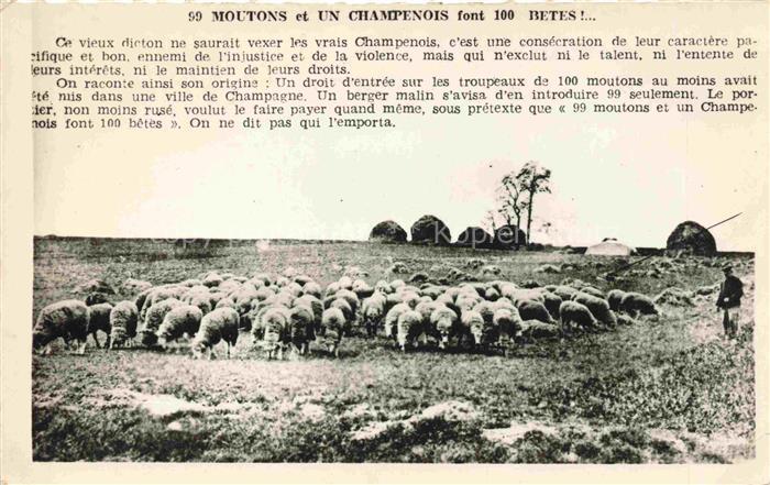 Schaeferei Sheperding Bergerie-- Mouton Champenois Troyes