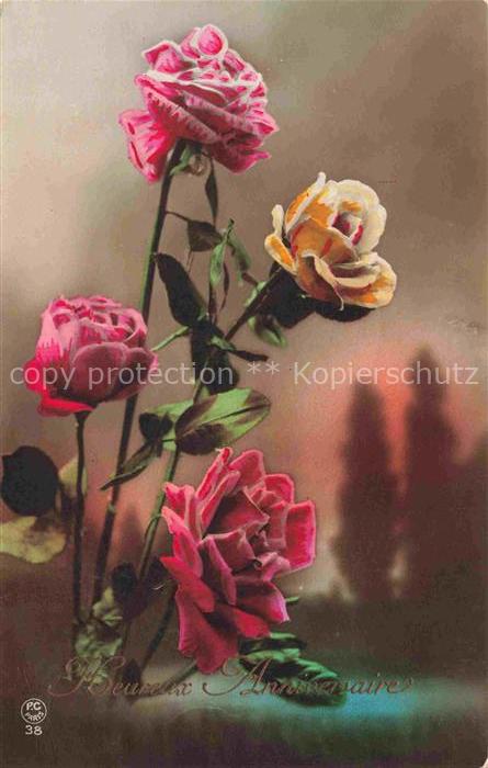 Foto PC Paris Nr. 38 Geburtstag AnniversaireRosen