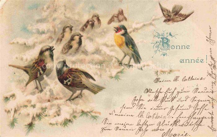 Neujahr Annee New Year Voegel