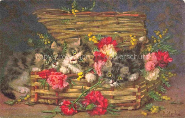 Katzen Koerbchen Rosen