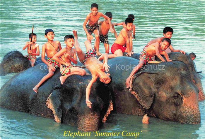 Elefant Kinder Summer Camp Ayutthaya Thailand