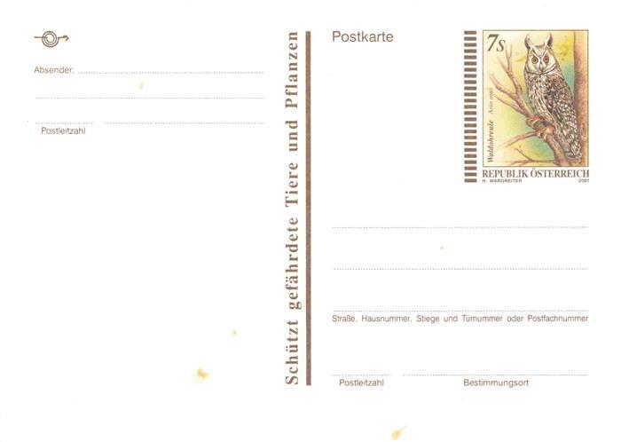 Eule Owl Hibou Chouette-- oesterreich Tiere Pflazen