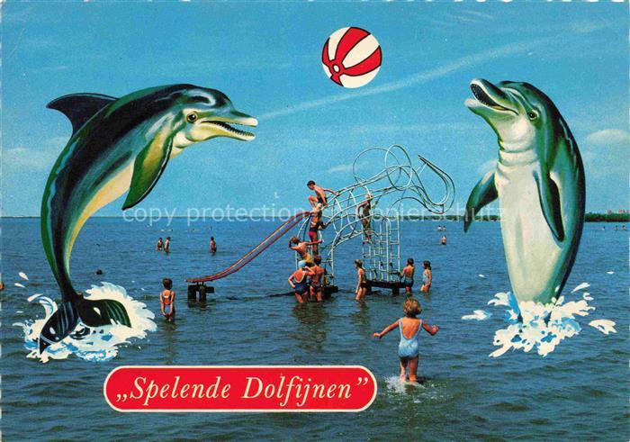 Delfine Delphine Dolphins Dauphins Delfines Harderwijk