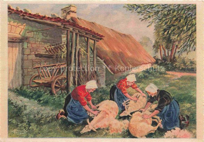 Schaeferei Sheperding Bergerie-- Tonte des Moutons France Litho
