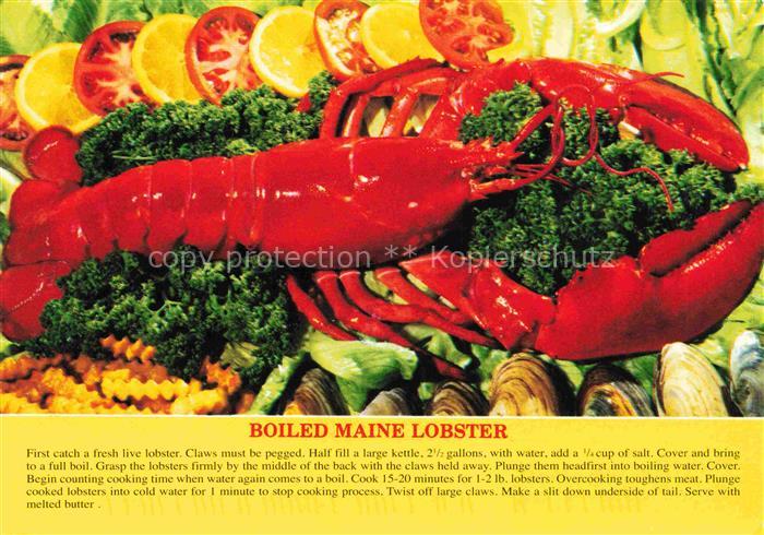 Rezept Recette-- Boiled Maine Lobster Krebse