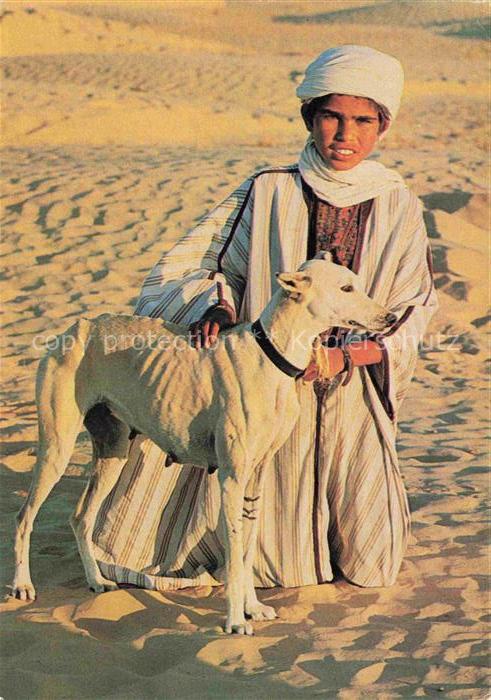 Hunde dogs chiens Kind Enfant Slougui Sud Tunisien