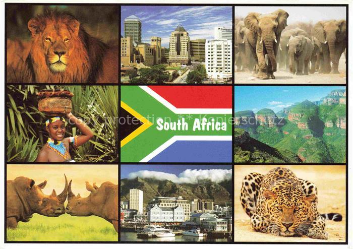 TIERE Animals Animaux Animales Animali-- Elefanten Loewen Nashorn South Africa