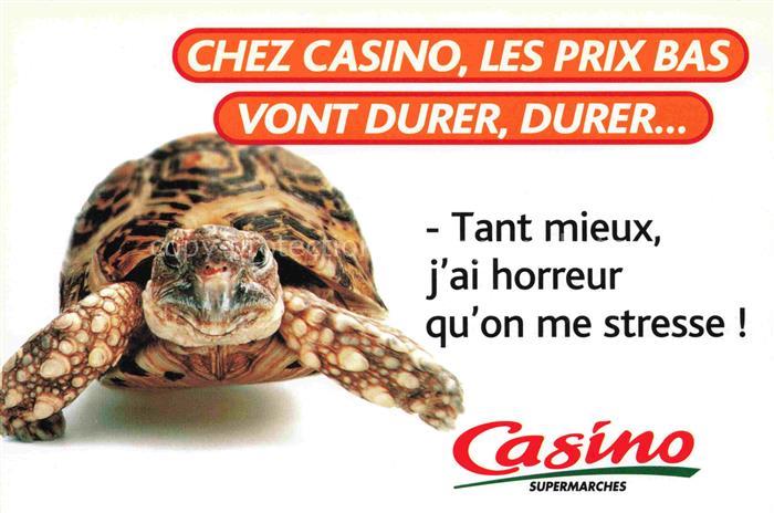 Schildkroeten Casino supermarches