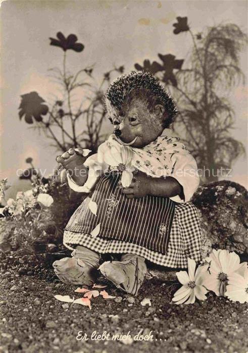 Mecki Nr. Film Gebrueder Diehl