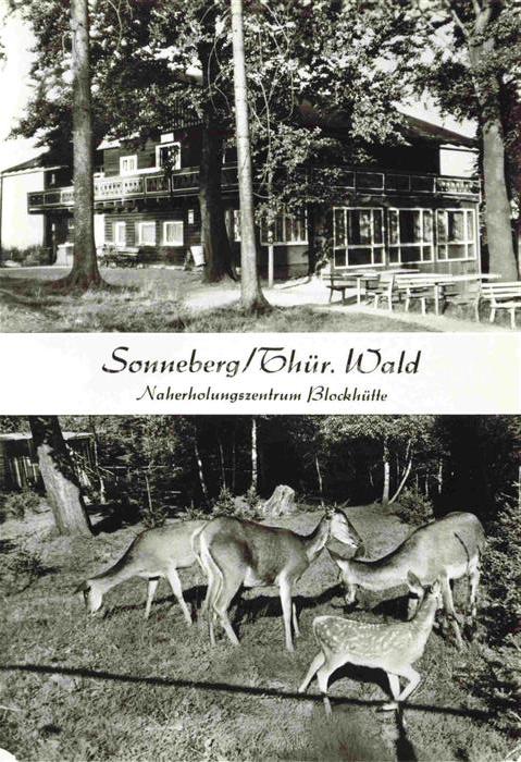 Sonneberg  Thueringen Naherholungszentrum Blockhuette Wild