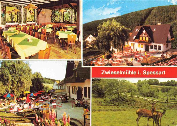 Zwieselmuehle Schollbrunn Gasthof Pension zur Zwieselmuehle Gastraum Terrasse Wi