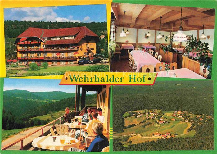 Wehrhalden Gasthof Pension Wehrhalder Hof Gastraum Terrasse Fernsicht Luftaufnah