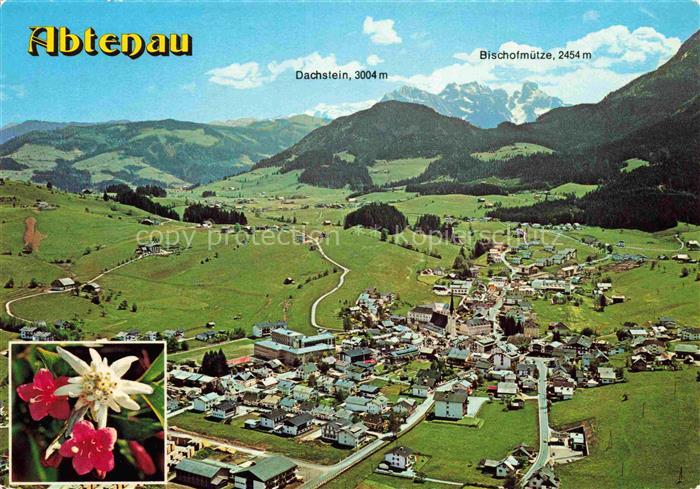 Abtenau AT Panorama Erholungsort im Lammertal Alpenflora