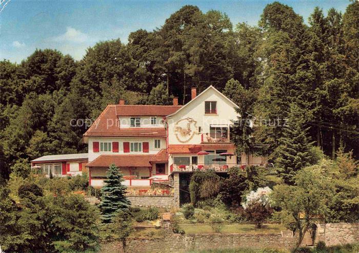 Lindenfels Odenwald Pension Buecherstube Weinklause Café Haus Luginsland