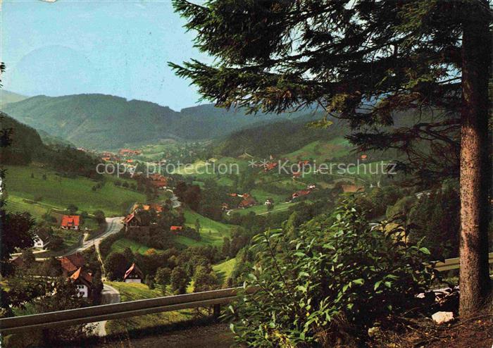 Seebach Ottenhoefen Schwarzwald Panorama Blick ins Tal