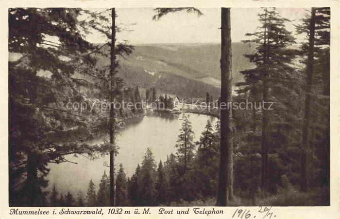 Mummelsee Panorama Blick ins Tal vom Waldrand aus