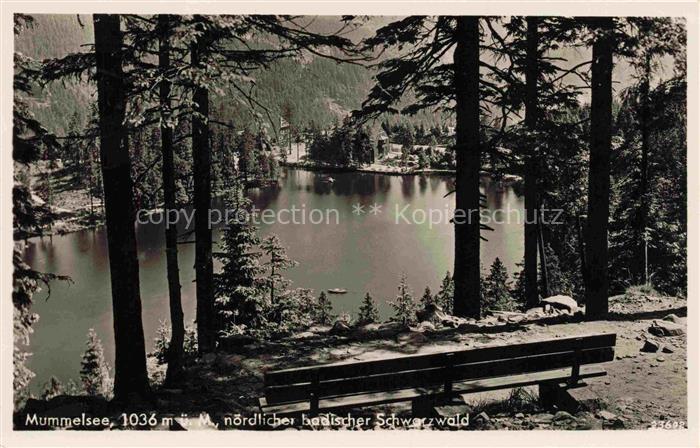 Mummelsee Blick auf den See Ruhebank im Wald